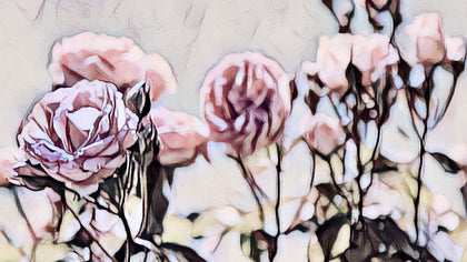 a watercolor effect applied to an image of a cluster of pink roses