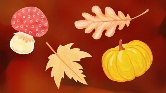 A collection of colorful, hand-drawn-style autumn leaves and mushrooms, showcasing BeFunky's sketch effects for enhancing graphic designs.