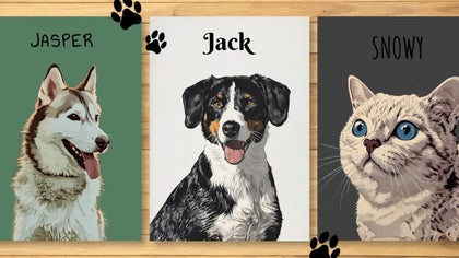 A digital pet portrait featuring three pets—dog, husky, and cat—each with their names on a colorful background.