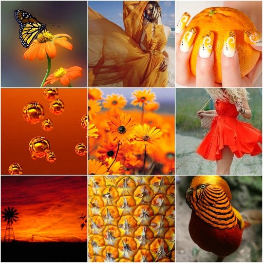 All things orange by kingdomv | BeFunky Photo Editor