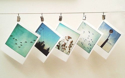 pictures made into polaroids