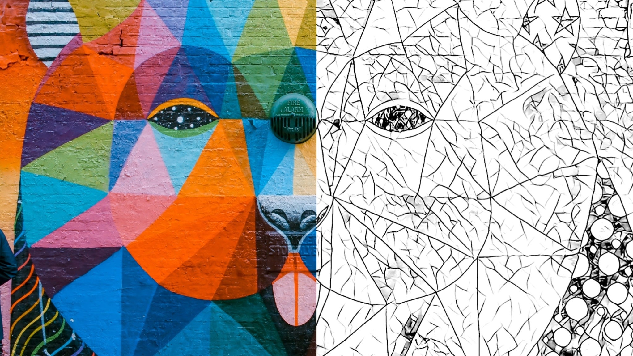 create coloring pages from photos