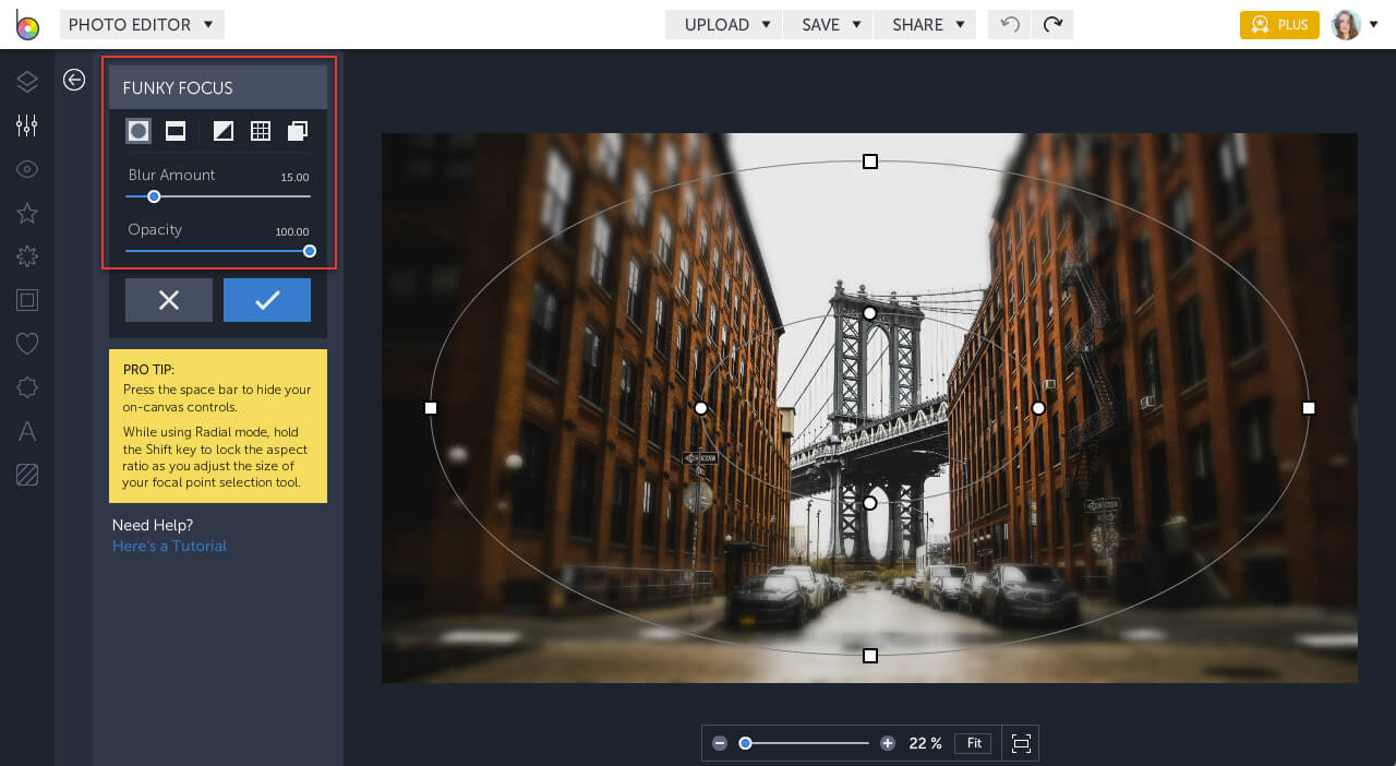 2 Easy Ways To Blur Backgrounds In BeFunky | Learn BeFunky