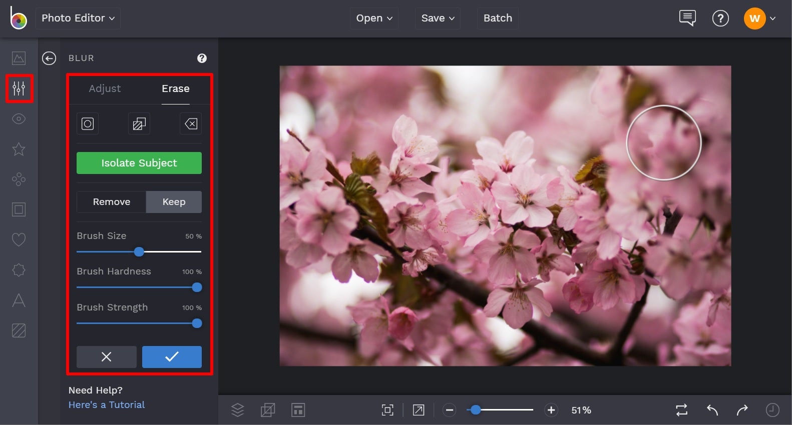 How To Blur The Background Of Your Photos | Learn BeFunky