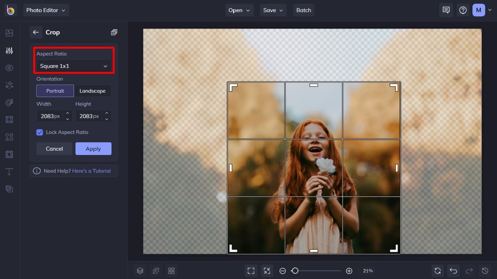 Your Master Guide To Cropping And Resizing Images | Learn BeFunky