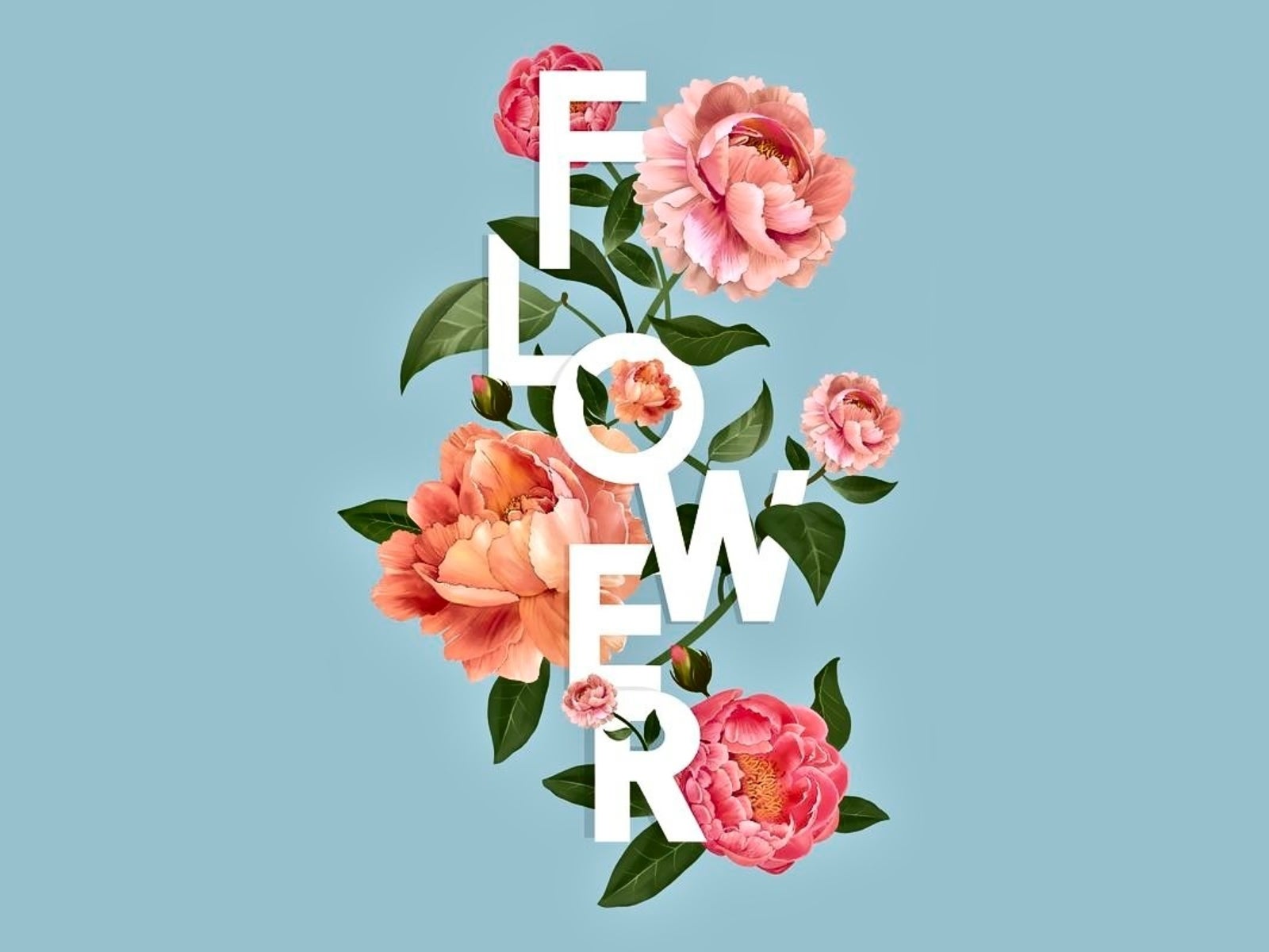 How to Create a Floral Typography Design | Learn BeFunky