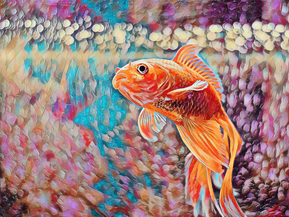 oil painting 1 fish after