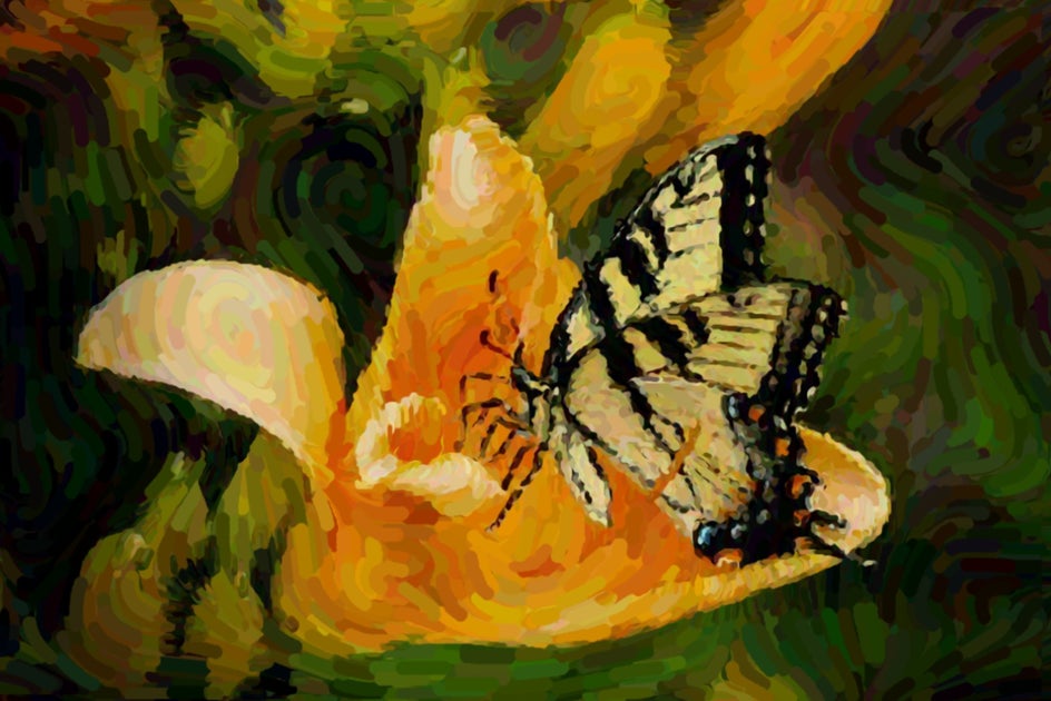 gouache applied to photo of butterfly