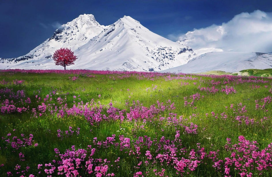 mountains scene with flowers