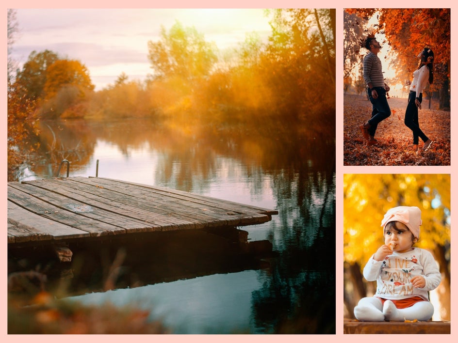 golden backdrop for halloween photos