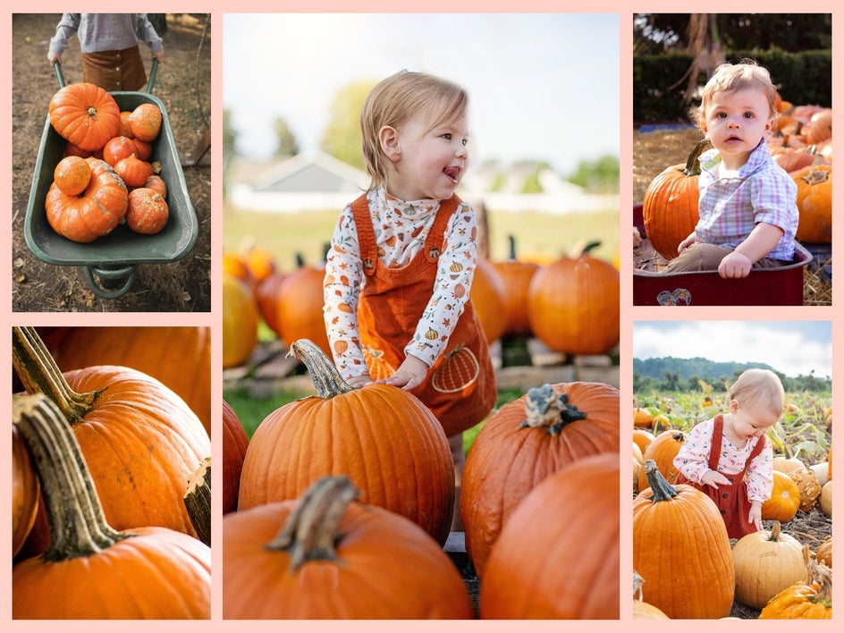 pumpkin patch halloween photography