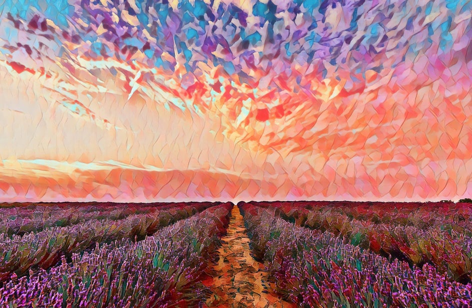 lavender field with oil painting 1 applied