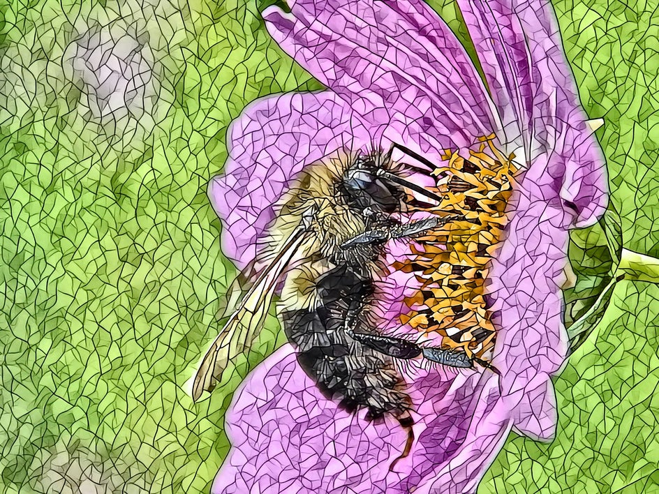 photo of bee on flower with mosaic effect applied