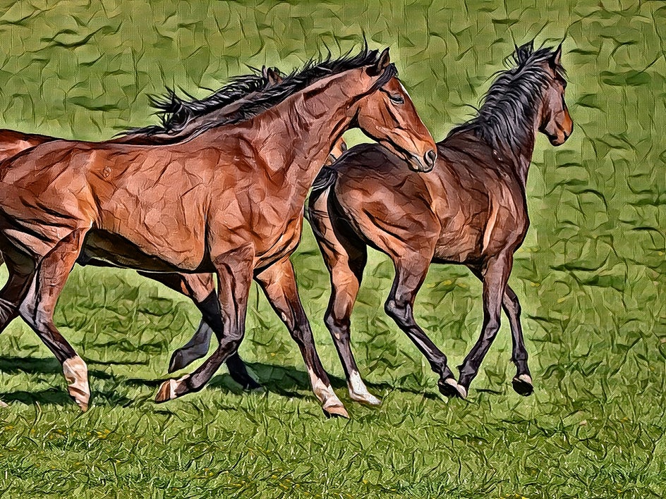 photo of brown horses with pastel effect applied