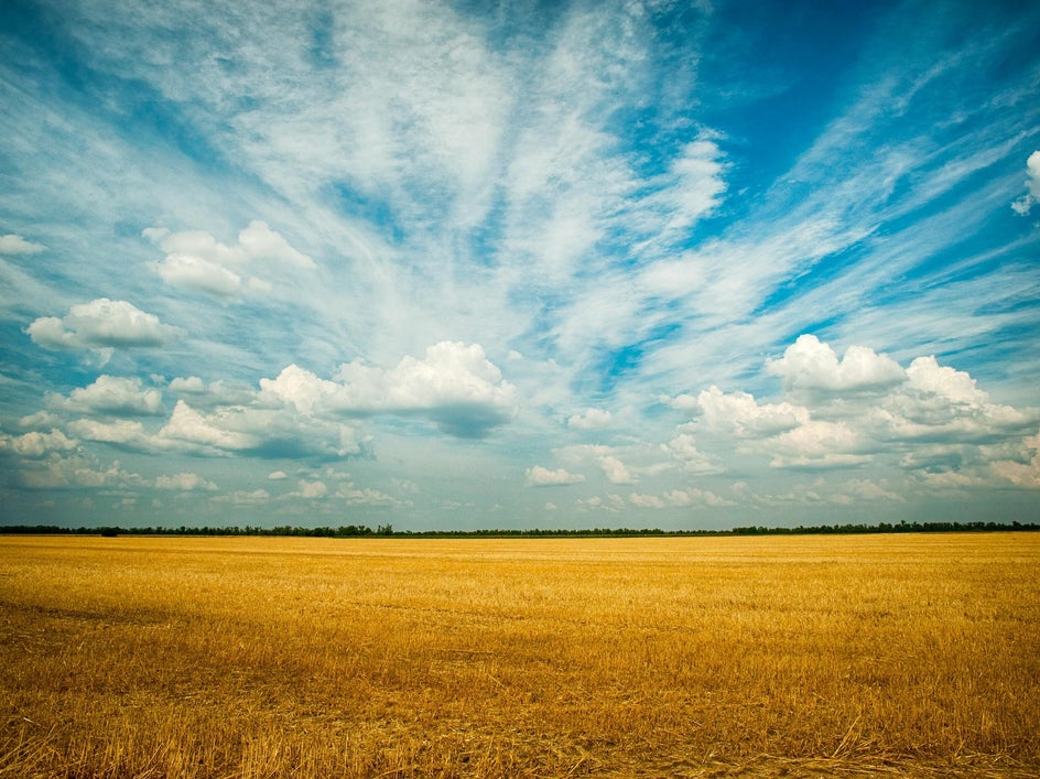 landscape photo of field