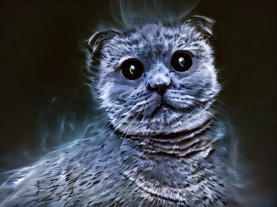 portrait of grey cat with specter effect applied