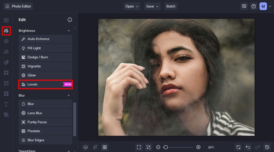 levels tool in photo editor