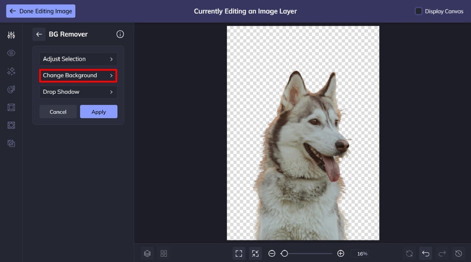 basic background remover tool on husky