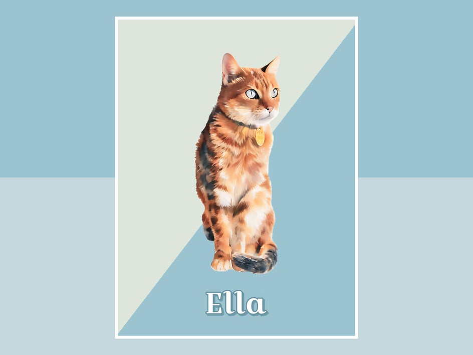 pet portrait made with designer cat with matte background