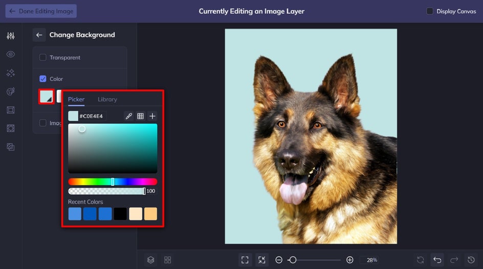 change background to a solid color of pet portrait