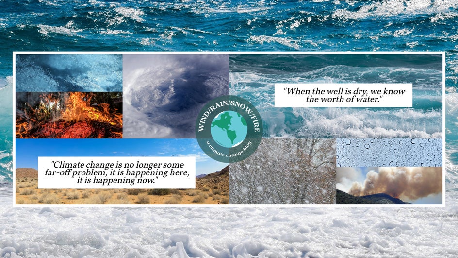 climate action collage header with ocean in background