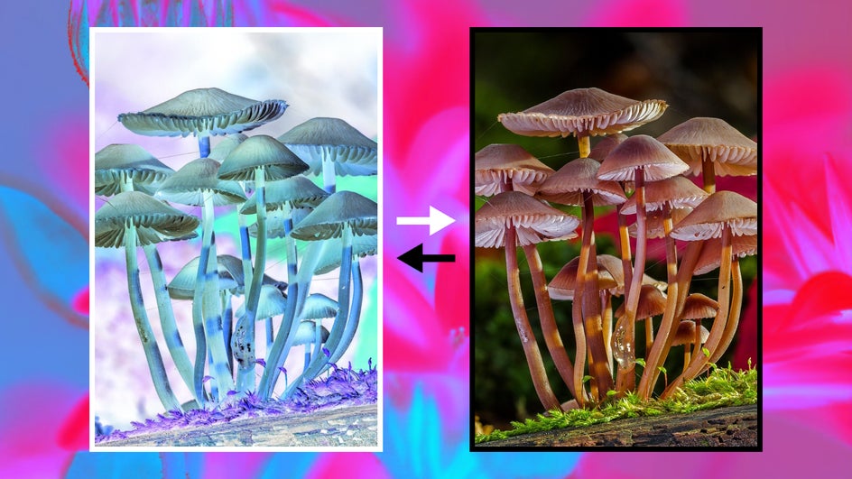 mushrooms before and after inverting process